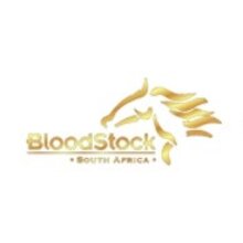 Bloodstock Auctions South Africa | © Bloodstock South Africa
