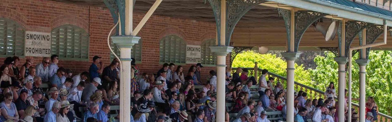 © Bendigo Jockey Club Profilbanner von Bendigo | © Bendigo Jockey Club