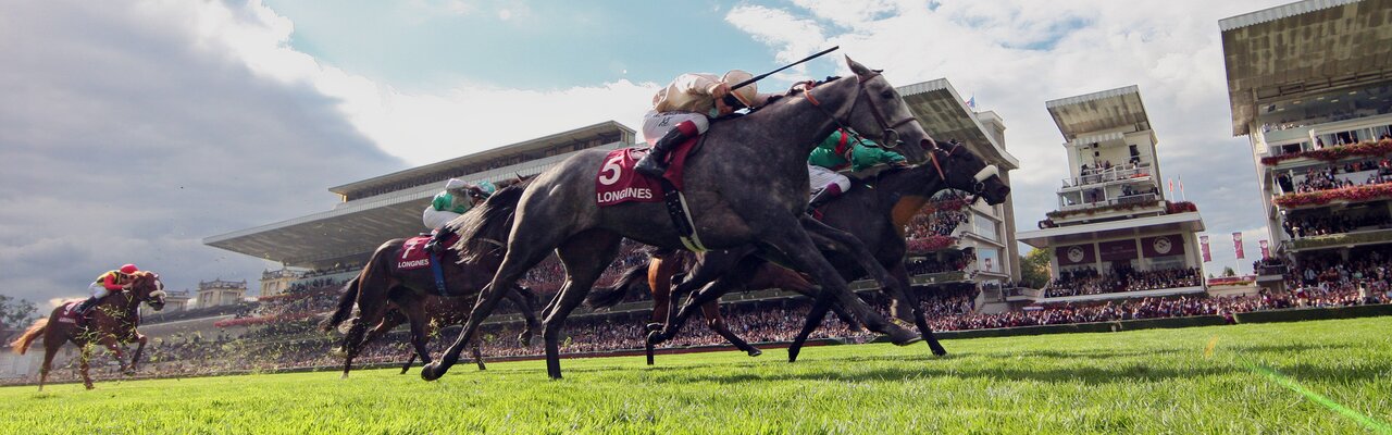 © Frank Sorge / Galoppfoto.de Profilbanner von Jour de Galop | © Frank Sorge / Galoppfoto.de