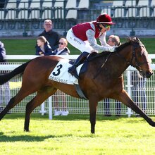 Go Athletico | © Brad Labrosse / Scoopdyga.com